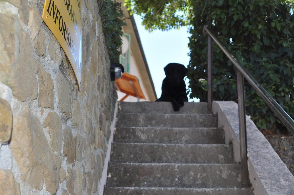 스카를리노 Agriturismo Il Cerrosughero 빌라 외부 사진
